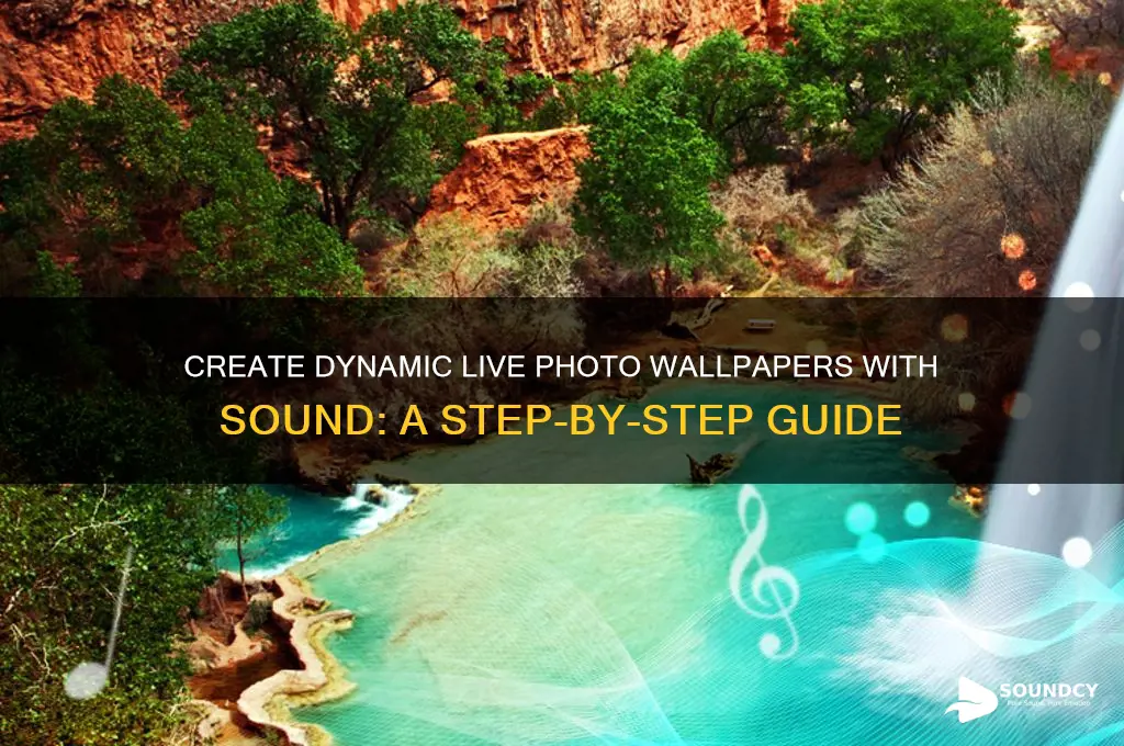 how to have a live photo wallpaper with sound