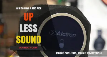 Minimizing Background Noise: Techniques for a Clearer Mic Pickup