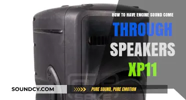 Enhance XP11 Realism: Engine Sound Through Speakers Setup Guide