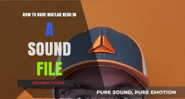 Reading Sound Files in MATLAB: A Step-by-Step Guide