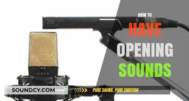 Mastering Opening Sounds: Techniques for Engaging Audio Introductions
