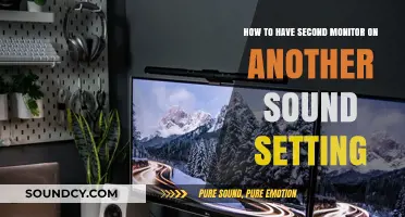 Dual Monitor Audio Setup: Customize Sound Settings for Each Display