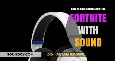 Enhance Your Fortnite Gameplay: Activating Sound Assist with Audio Tips