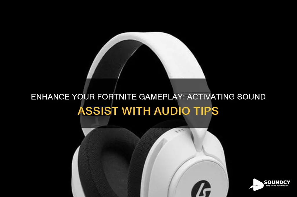 how to have sound assist on fortnite with sound