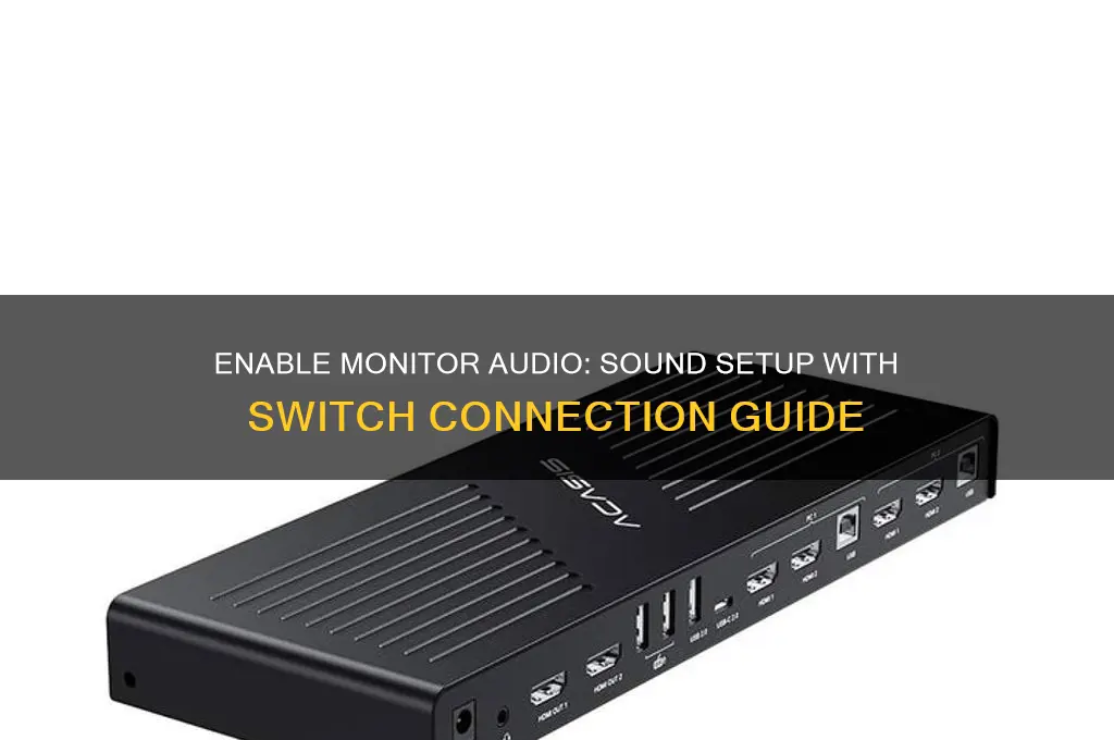 how to have sound on monitor with switch connected