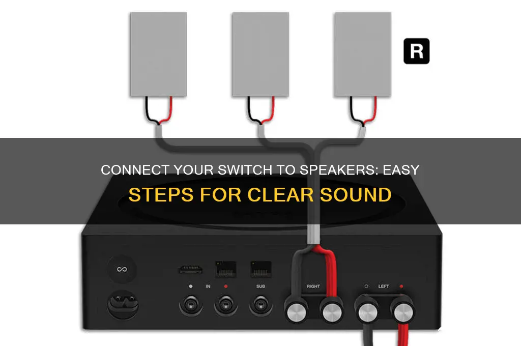 how to have sound while connecting switch to speaker