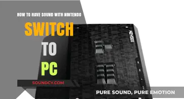 Connect Nintendo Switch to PC for Enhanced Audio: A Simple Guide