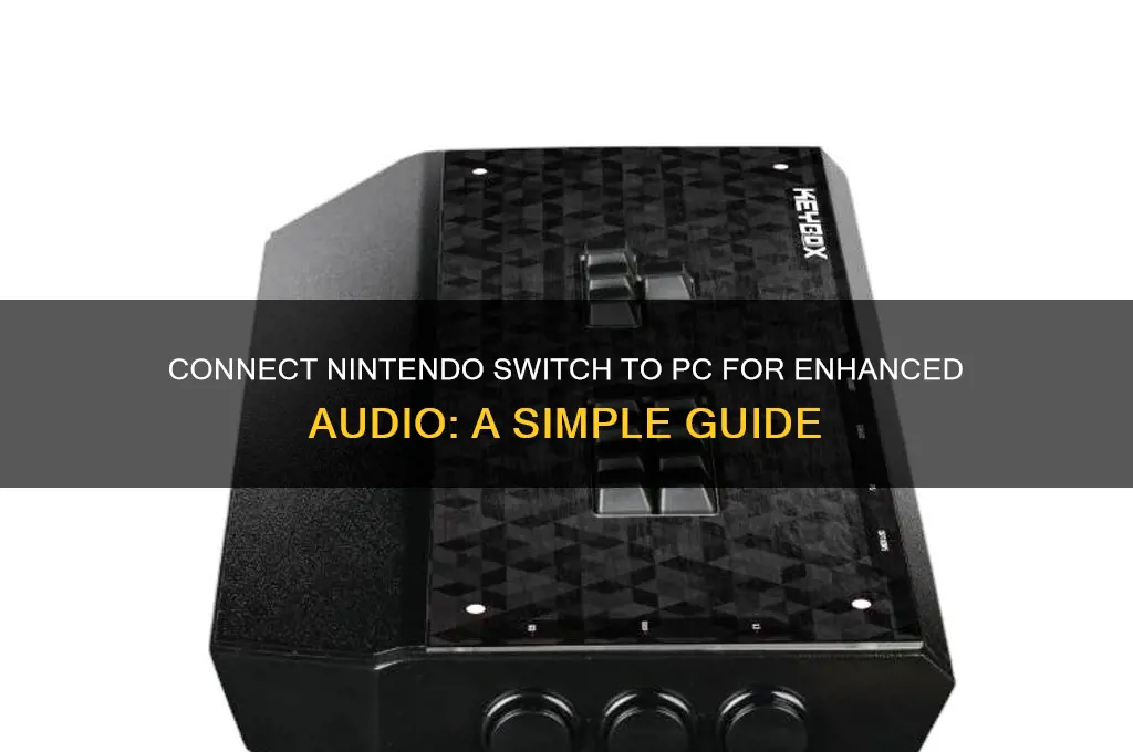 how to have sound with nintendo switch to pc