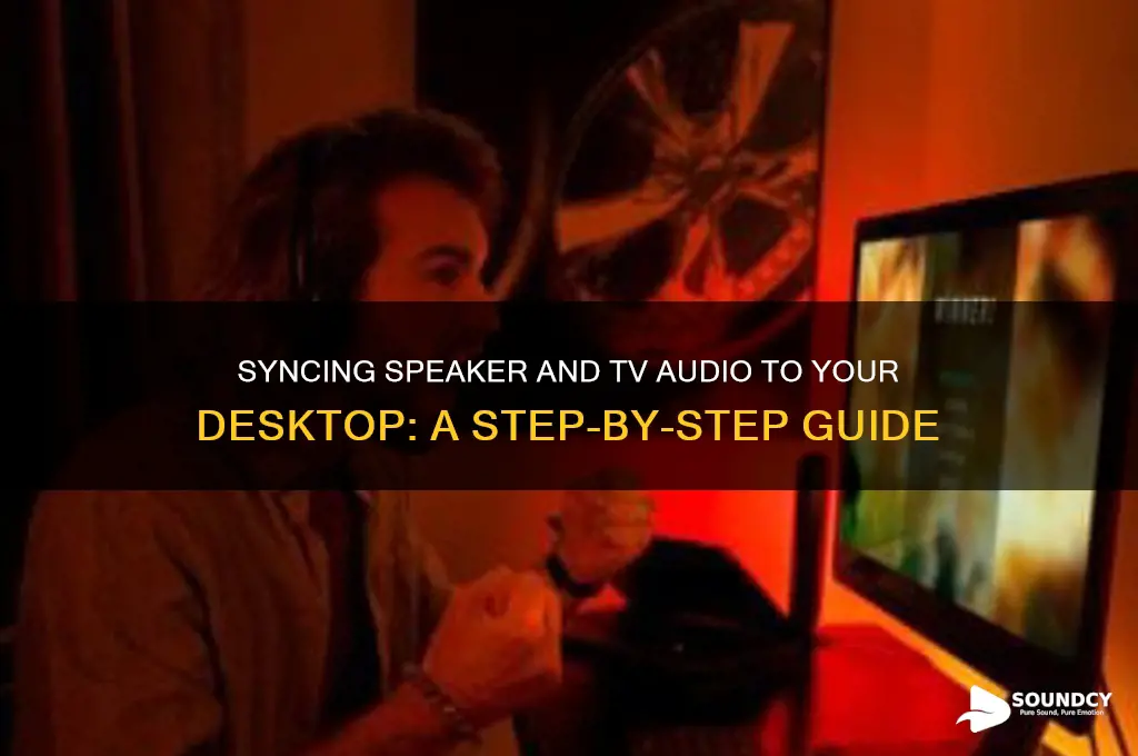 how to have speaker and tv sounds on desktop