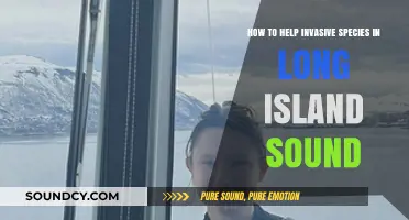 Supporting Long Island Sound's Invasive Species: A Guide to Responsible Action