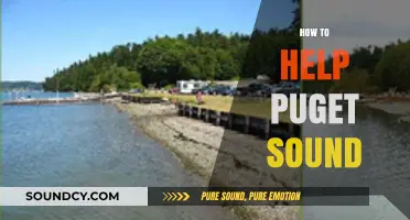 Revitalize Puget Sound: Practical Steps to Restore and Protect Our Waters