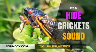Effective Ways to Silence Annoying Cricket Noises in Your Home