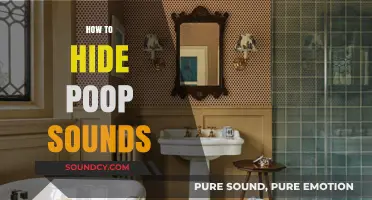 Quiet Bathroom Tips: How to Hide Poop Sounds Discreetly
