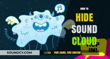 Effective Ways to Conceal Your SoundCloud Activity and Profile Privately