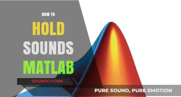 Mastering Sound Manipulation: A Guide to Holding Audio in MATLAB