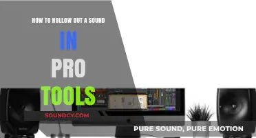 Mastering Hollow Sounds: A Pro Tools Step-by-Step Guide