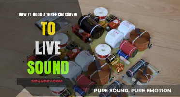 Mastering Live Sound: Hooking a Three-Way Crossover Setup