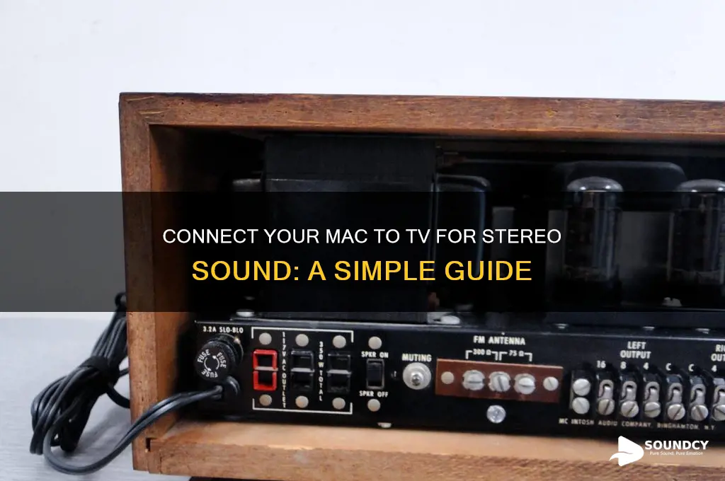 how to hook stereo sound to tv from mac