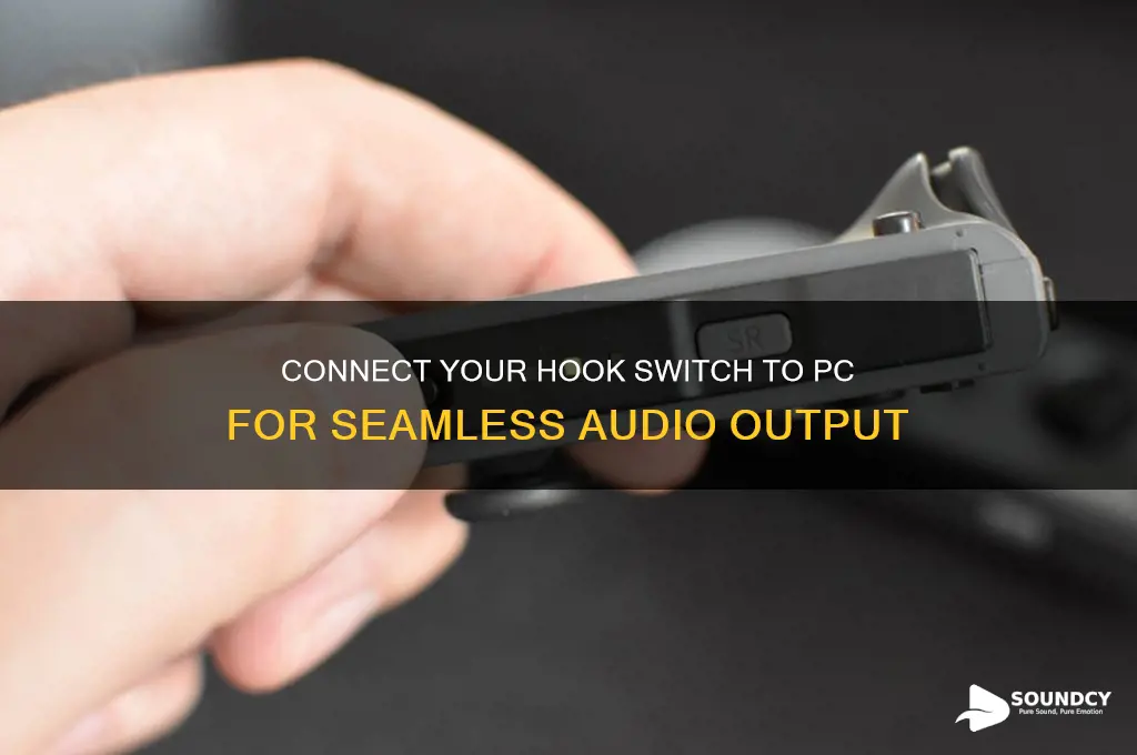 how to hook switch up to pc for sound