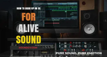 Mastering Live Sound: A Step-by-Step Guide to Hooking Up an EQ