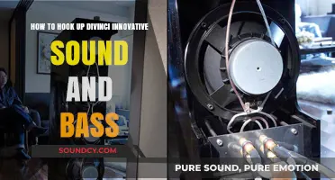 Mastering Divinci Sound: Hook Up Guide for Innovative Bass & Audio