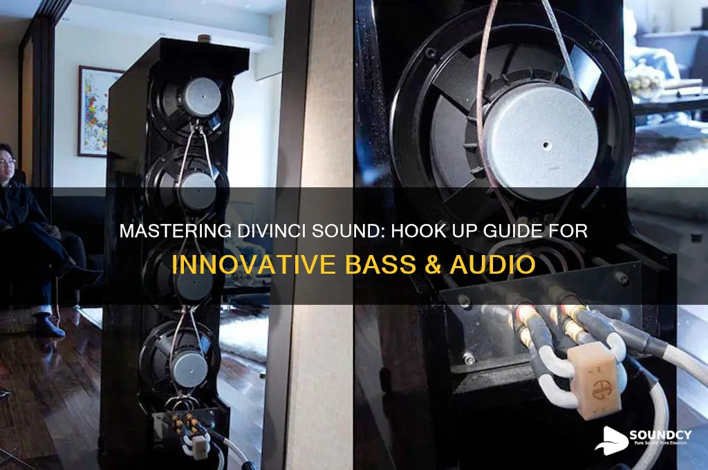 how to hook up divinci innovative sound and bass