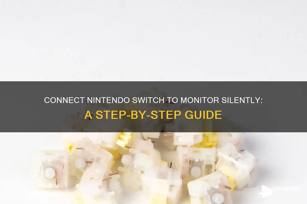 how to hook up switch to monitor without sound