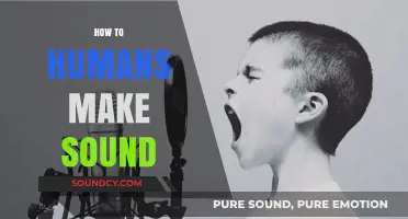 Understanding the Science Behind Human Sound Production and Vocalization