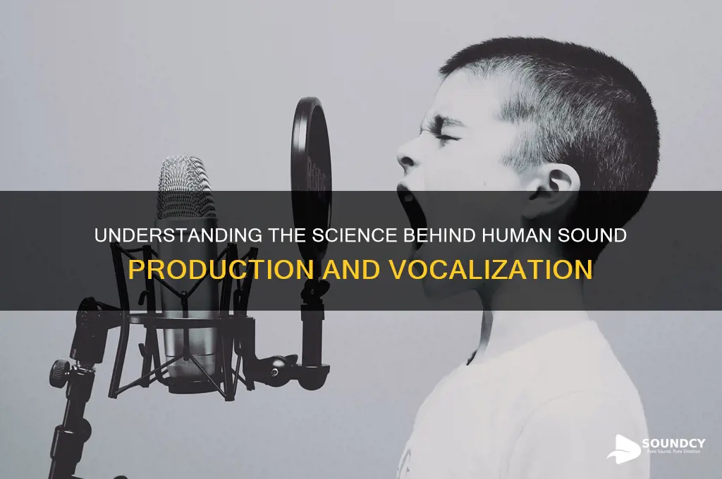 how to humans make sound