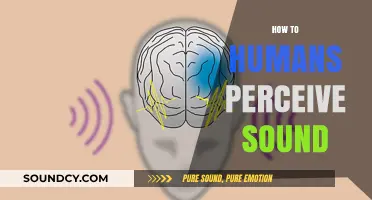 Unraveling the Mysteries of Human Sound Perception: A Comprehensive Guide