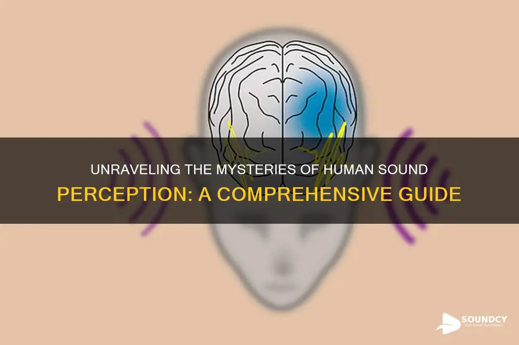 how to humans perceive sound