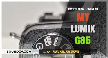Mastering Audio Settings: Adjusting Sounds on Your Lumix G85 Camera