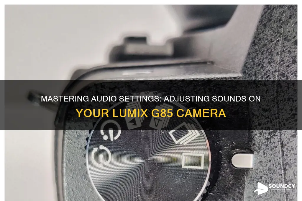 how to i adjust sounds on my lumix g85