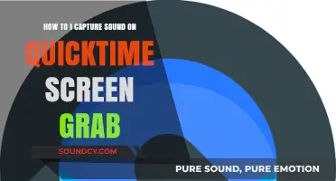 Capture Audio with QuickTime Screen Recording: A Simple Guide