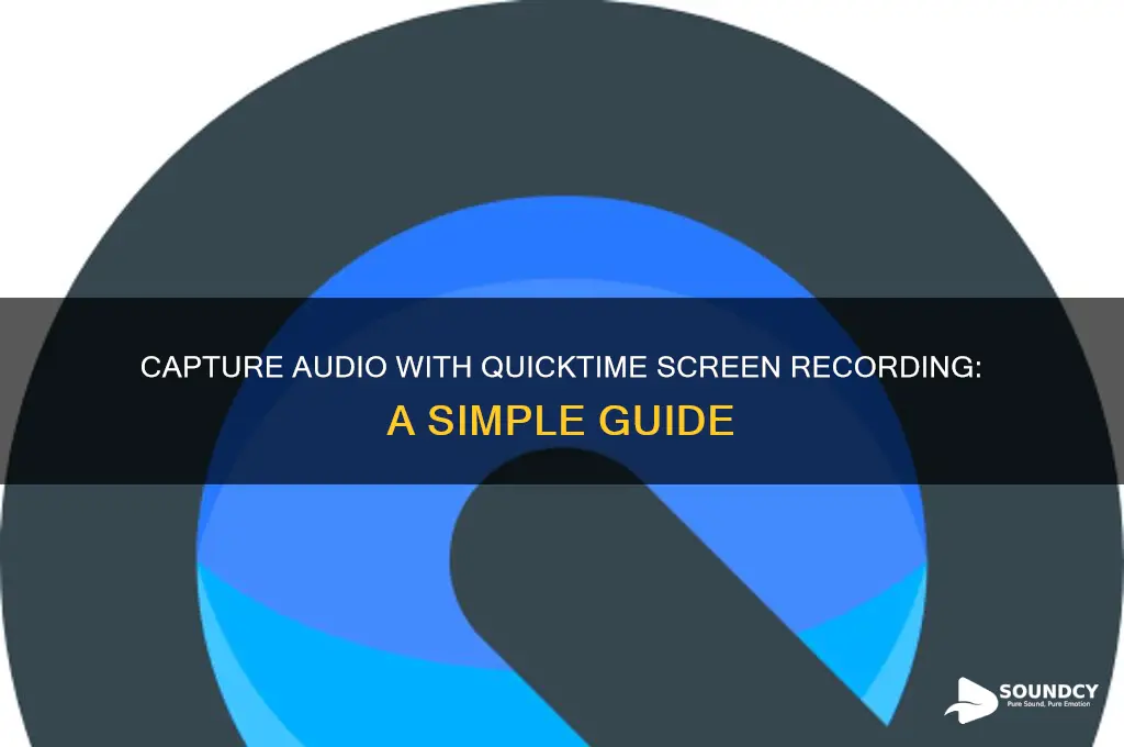 how to i capture sound on quicktime screen grab