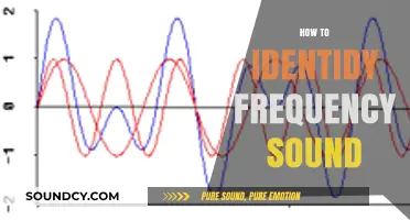 Mastering Sound Analysis: How to Identify Frequency in Audio Signals