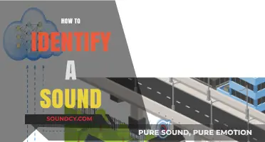 Mastering Sound Identification: Techniques to Recognize and Classify Audio