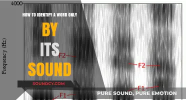 Mastering Phonetic Clues: How to Identify Words by Sound Alone
