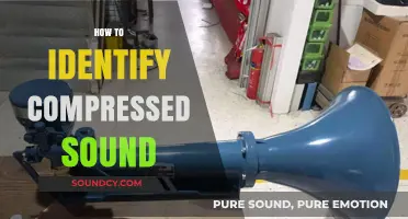 Mastering Audio Quality: Spotting Compressed Sound in Your Music