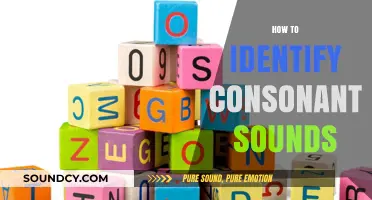 Mastering Phonetics: A Beginner's Guide to Identifying Consonant Sounds