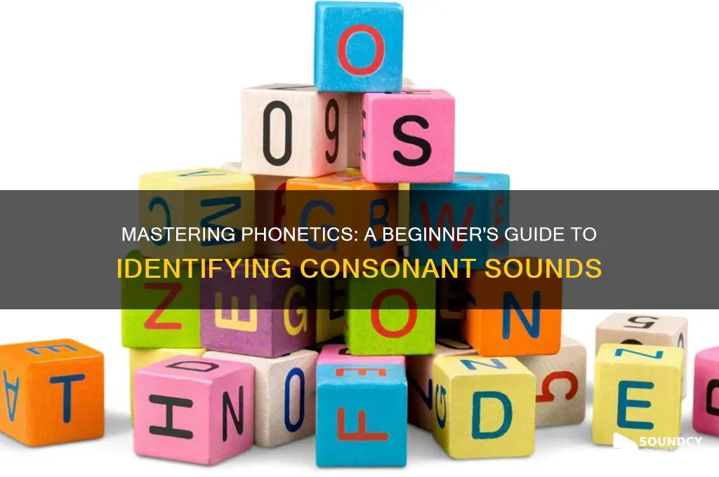 how to identify consonant sounds