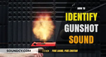 Recognizing Gunshot Sounds: Key Characteristics and Identification Techniques