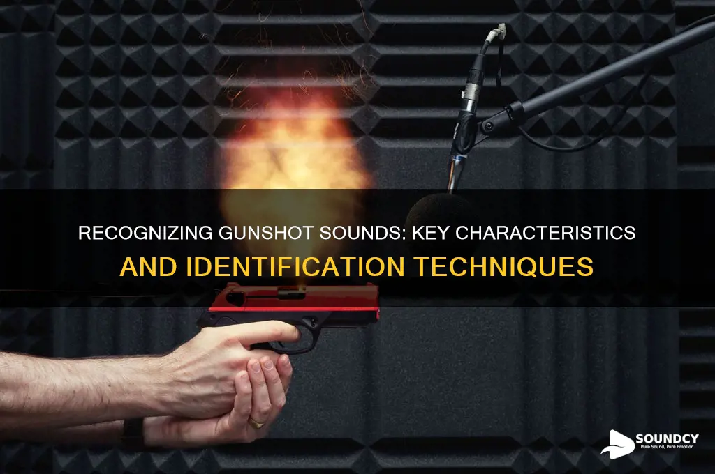 how to identify gunshot sound