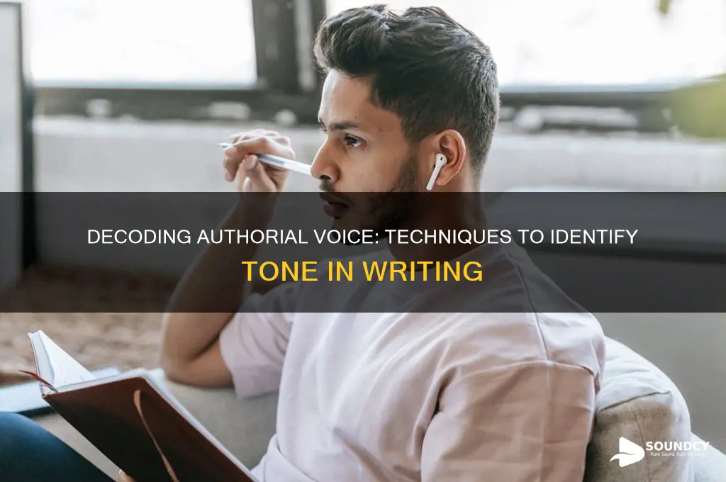 how to identify how an author sounds in reading