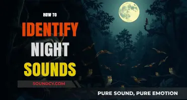 Mastering the Art of Identifying Night Sounds in Nature