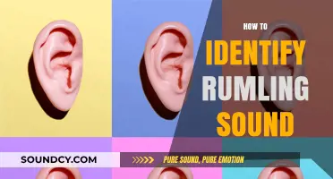 Mastering the Art of Identifying Rumbling Sounds: A Comprehensive Guide