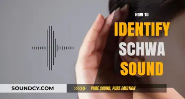 Mastering the Schwa: A Step-by-Step Guide to Identifying the Sound