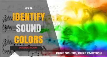 Unveiling the Art of Identifying Sound Colors in Music
