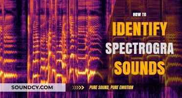 Mastering Spectrogram Analysis: Techniques to Identify Sounds Accurately