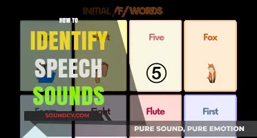 Mastering Phonetics: A Beginner's Guide to Identifying Speech Sounds